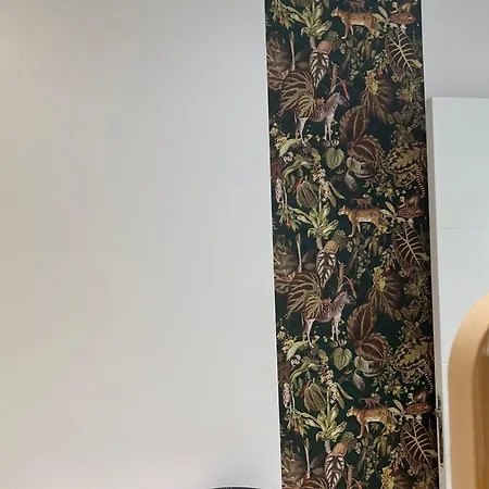 Habitación En Un Piso 3* San Sebastián