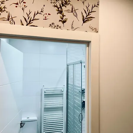 Habitación En Un Piso San Sebastián